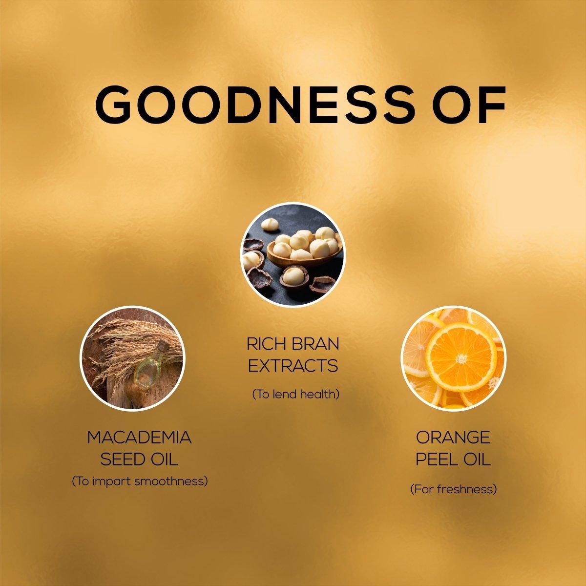 RENEE Texture Fix post Make Up Oil 10ml - Renee Cosmetics