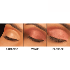 RENEE On-The-Go Eye Makeup - Renee Cosmetics